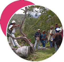 Proceso resignificación, Arhuaco, Misak, Nasa.